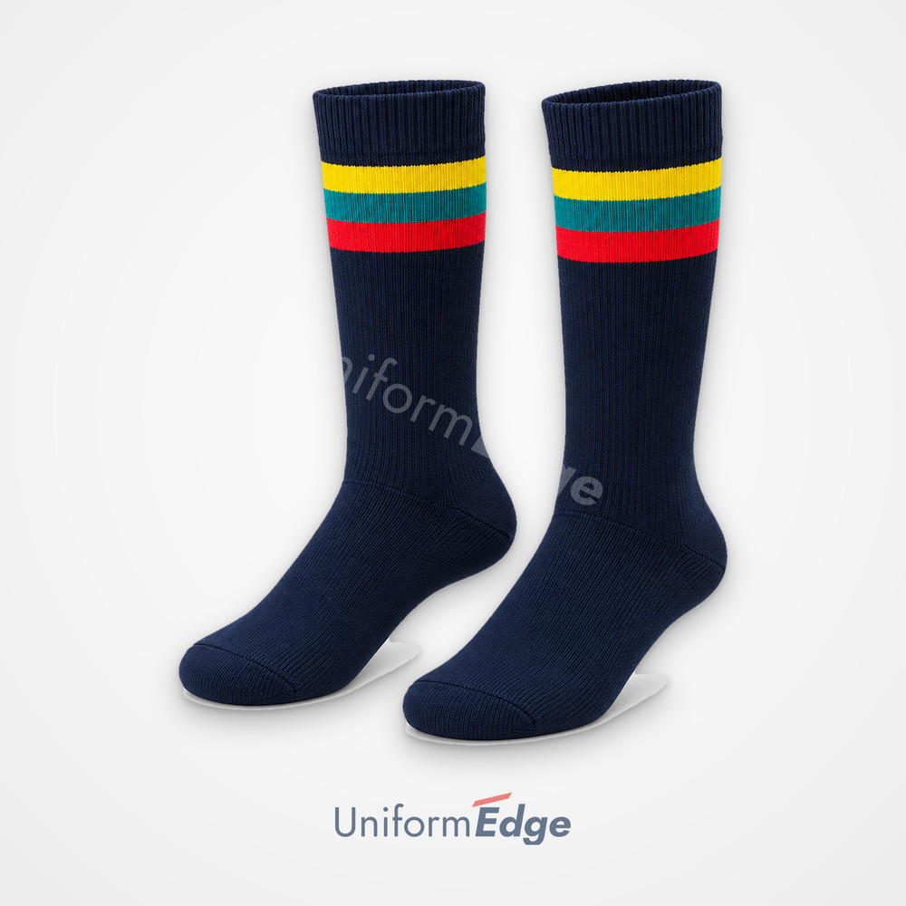 Bal Bharti Public School - Socks House - yellow, teal & red