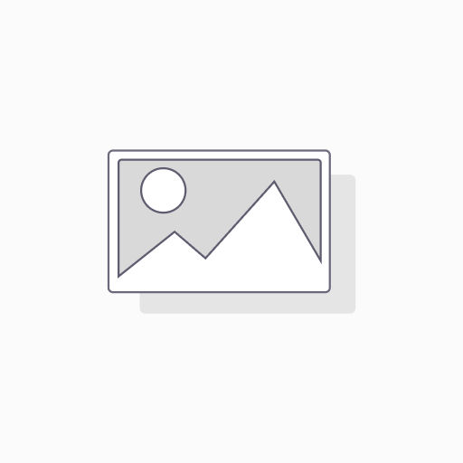 Kendriya Vidyalaya - Shirt Half Sleeves